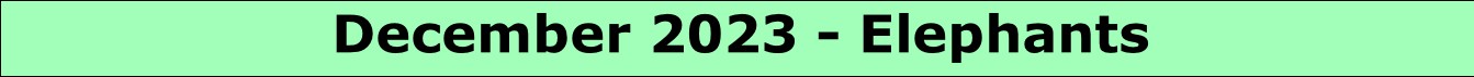 December 2023 - Elephants

